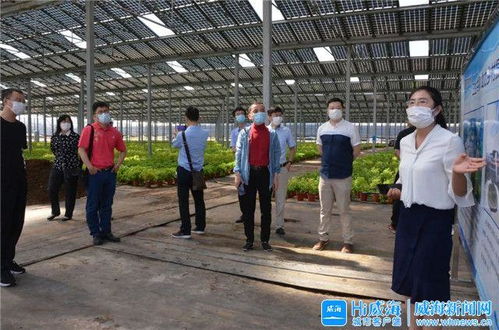 智慧大腦賦能產(chǎn)業(yè)升級(jí) 威海臨港區(qū)以新材料技術(shù)開發(fā)服務(wù)引領(lǐng)振興之路