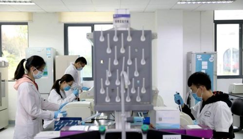 研究生被師哥師姐要求打雜，該說“不”嗎？——新材料技術(shù)開發(fā)中的成長智慧